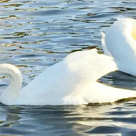 8 Person In Auklandshamn * Vestvik
