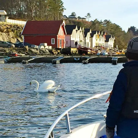 8 Person In Auklandshamn *